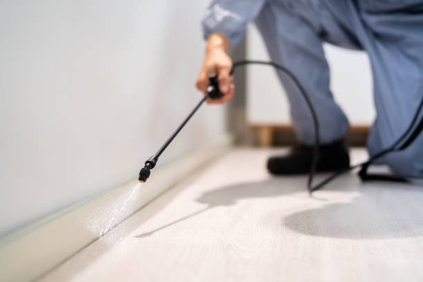 Licensed Pest Control service in Horse Shoe, NC - Show Me Pest Control