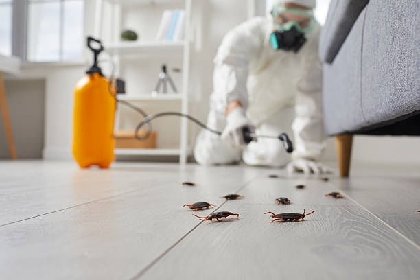 Commercial Rodent Management in Horse Shoe
